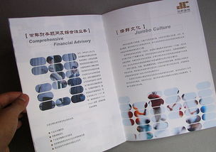 专业与远见的视觉呈现 咨询公司画册设计案例与理念解析